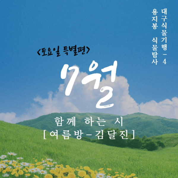 a3b7c08d8a388eaaa8dc2a585ee7b5ec_1595383287_2423.png