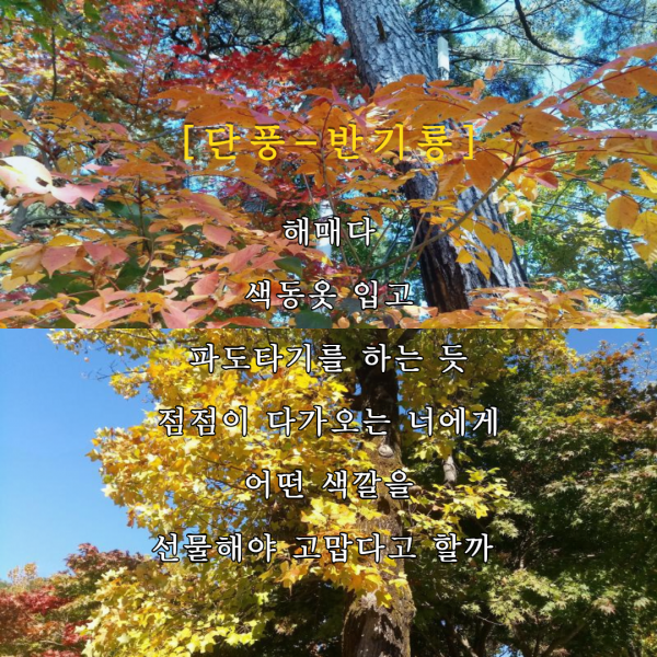 83685fe619adc423990f532dd0ca7da8_1603773857_7287.png
