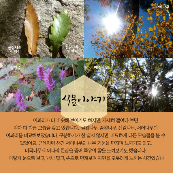 83685fe619adc423990f532dd0ca7da8_1603773895_3603.png