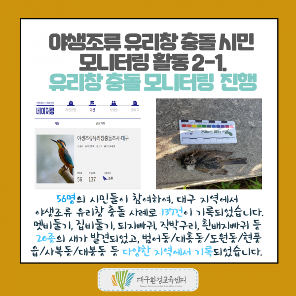 756bd13847aed8afc80851ce5be097c4_1609810212_4438.png