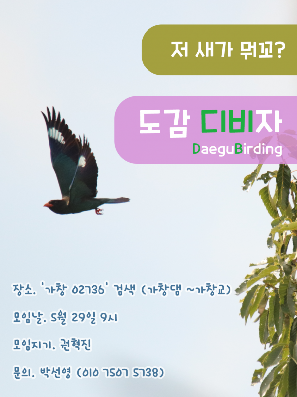 590e5eca80bd6e39e23ce45c679221b9_1653352670_006.png